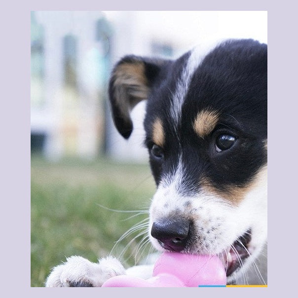 Welpen-Kauspielzeug für kleine und mittlere Hunde