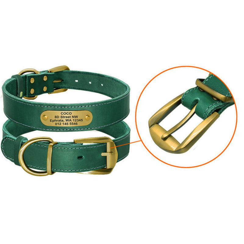 Halsband mit Namensschild für große Hunde