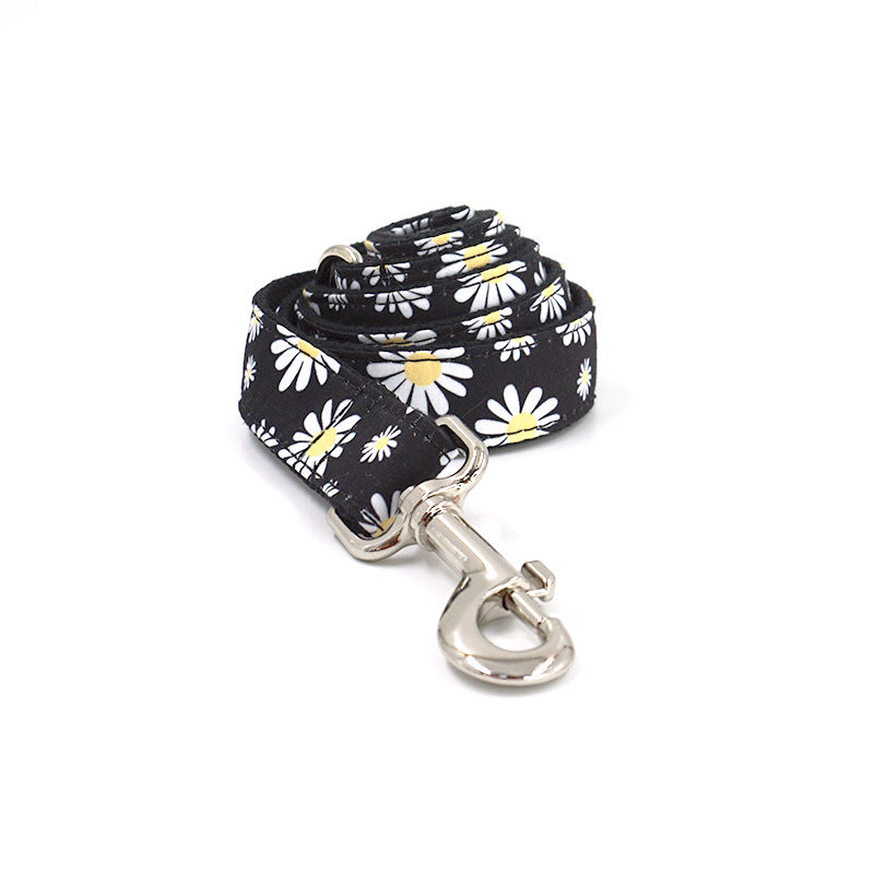 Halsband mit Gravur und passender Leine – weitere Ansicht 3