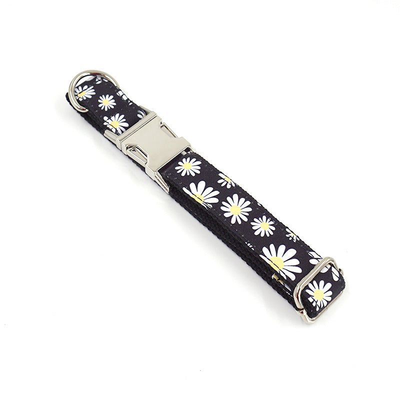Halsband mit Gravur und passender Leine – weitere Ansicht 2