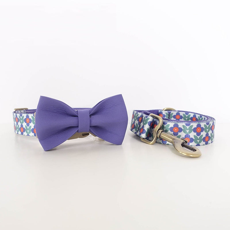 Nylonleine mit Halsband