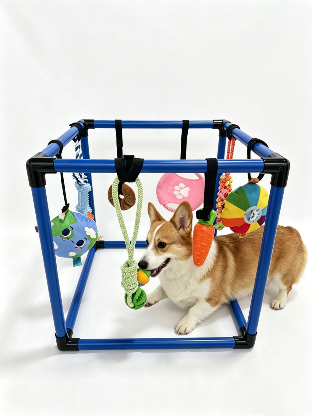 Spielgerüst für Hunde zum Zusammenstecken – weitere Ansicht 6