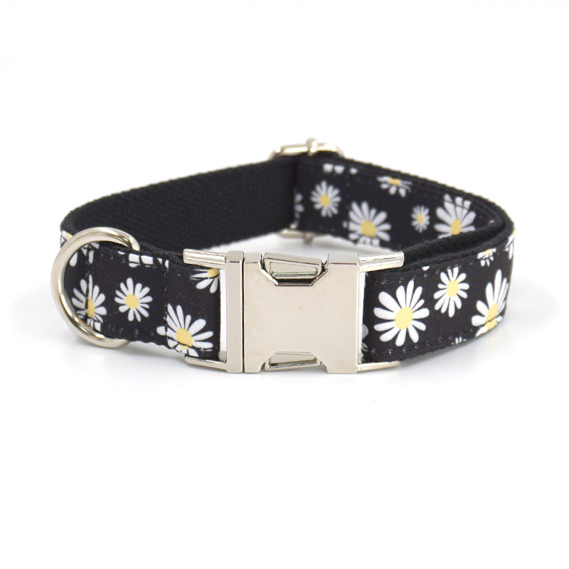 Halsband mit Gravur und passender Leine – weitere Ansicht 4