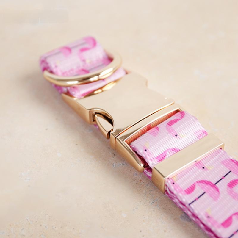 Halsband-Leinen-Set gepolstert – weitere Ansicht 2