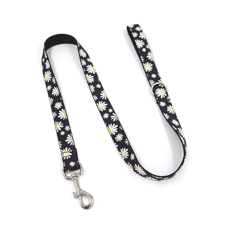 Halsband mit Gravur und passender Leine – weitere Ansicht 5
