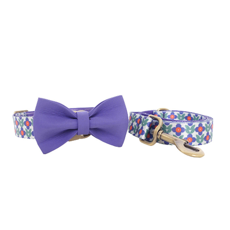 Nylonleine mit Halsband – weitere Ansicht 2