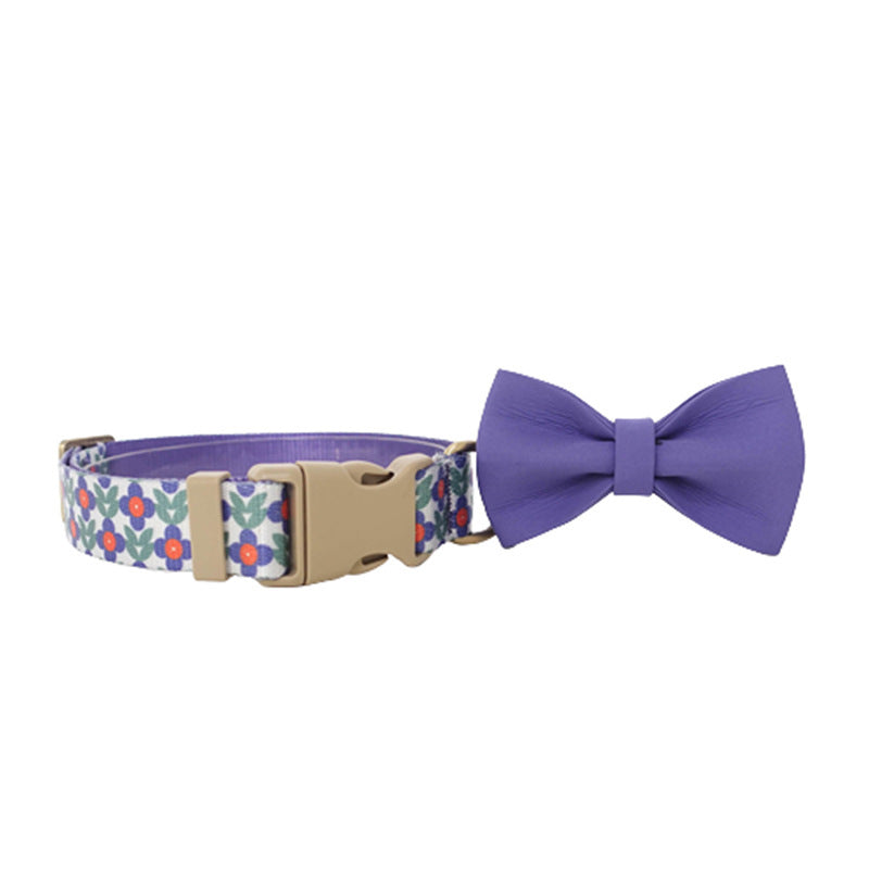 Nylonleine mit Halsband – weitere Ansicht 5