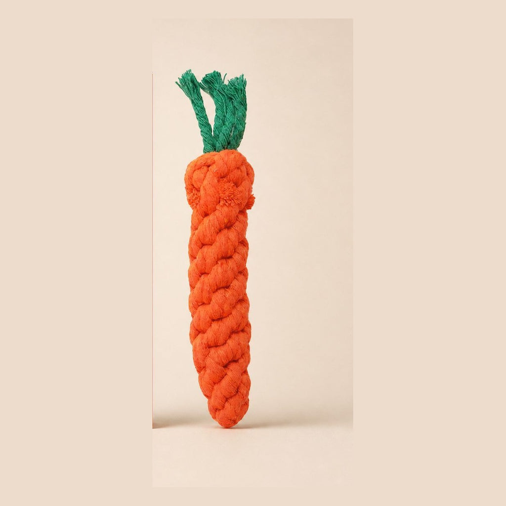 Seilspielzeug Karotte für Welpen