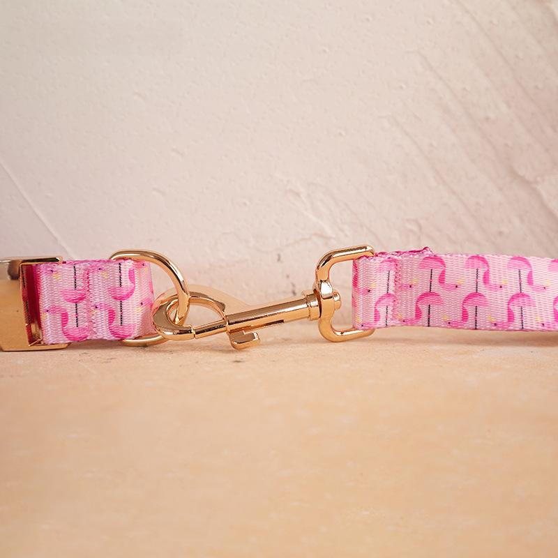 Halsband-Leinen-Set gepolstert – weitere Ansicht 4