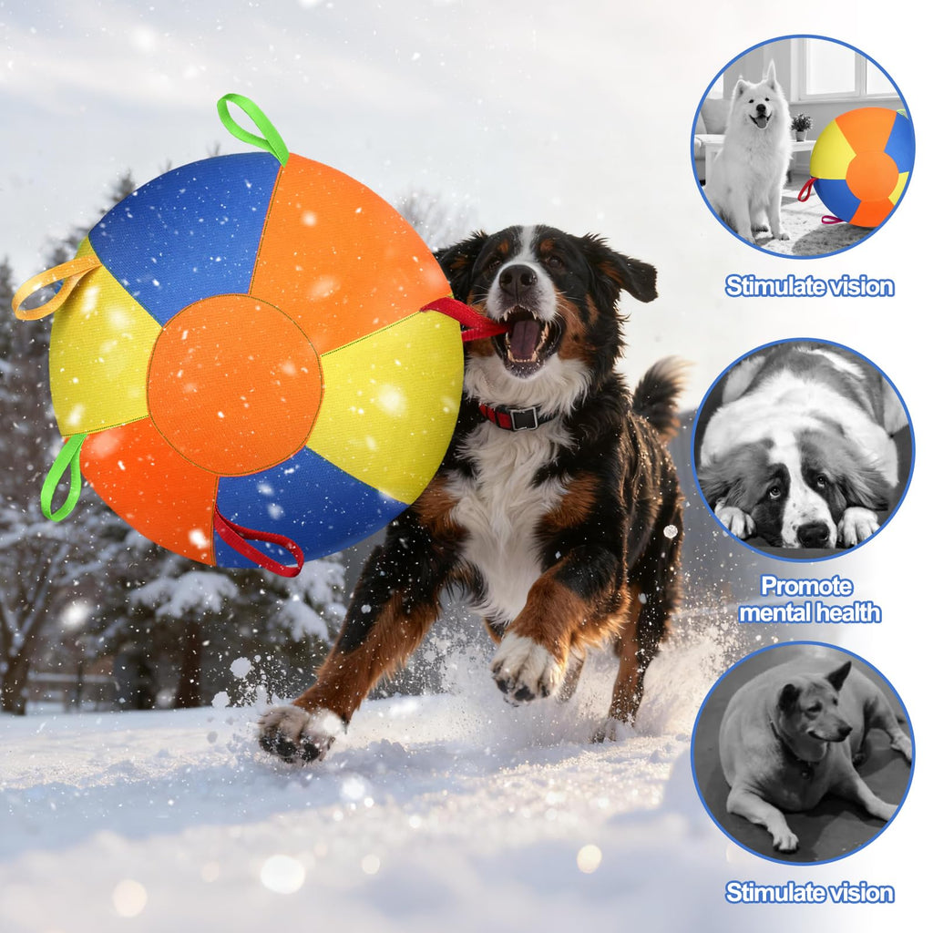 Treibball für Hunde mit Griffen – weitere Ansicht 2