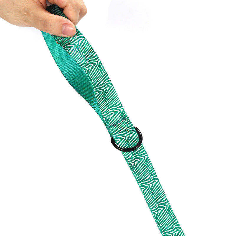 Halsband und Leine mit Muster
