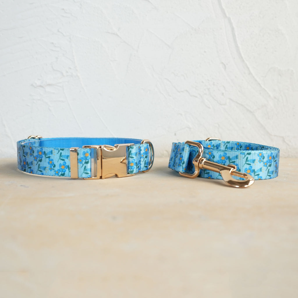 Halsband-Leinen-Set mit Metallschnalle – weitere Ansicht 4