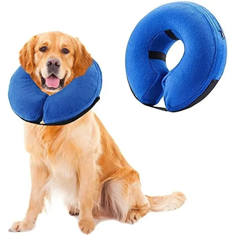 Aufblasbarer Schutzkragen für Hunde