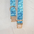 Halsband-Leinen-Set mit Metallschnalle