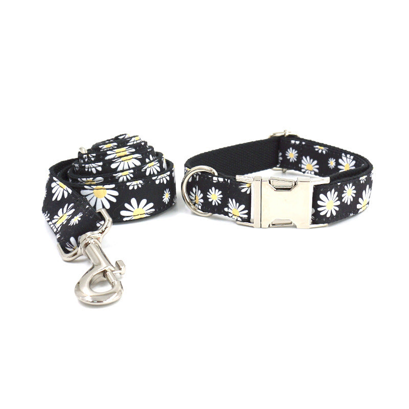 Halsband mit Gravur und passender Leine