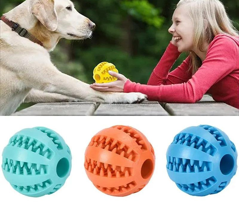 Leckerli-Ball für kleine und mittlere Hunde